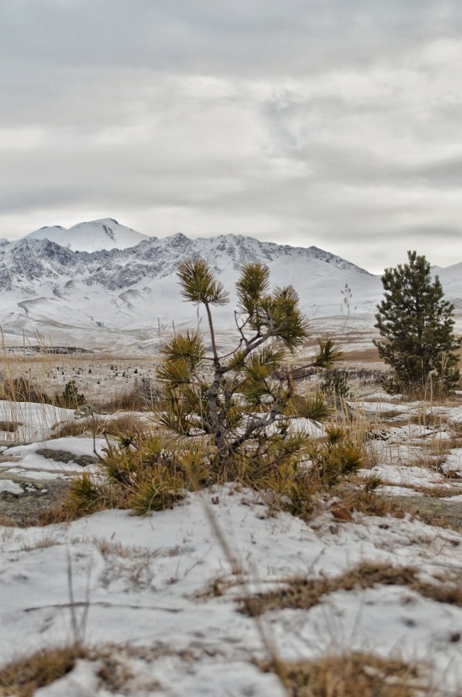 Photograph by Тимур Байкулов