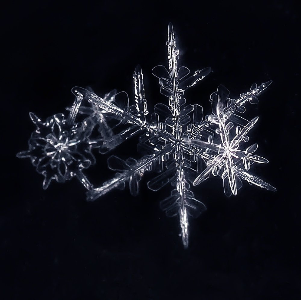 Photograph by Ольга Линк