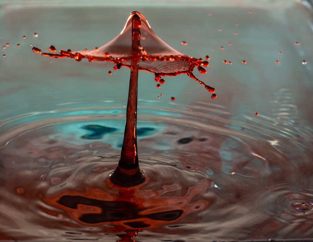 Photograph by Ольга Линк