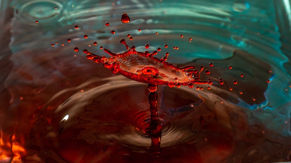 Photograph by Ольга Линк