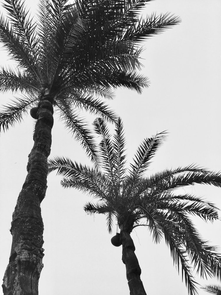 Photograph by Mohiminol Ranak