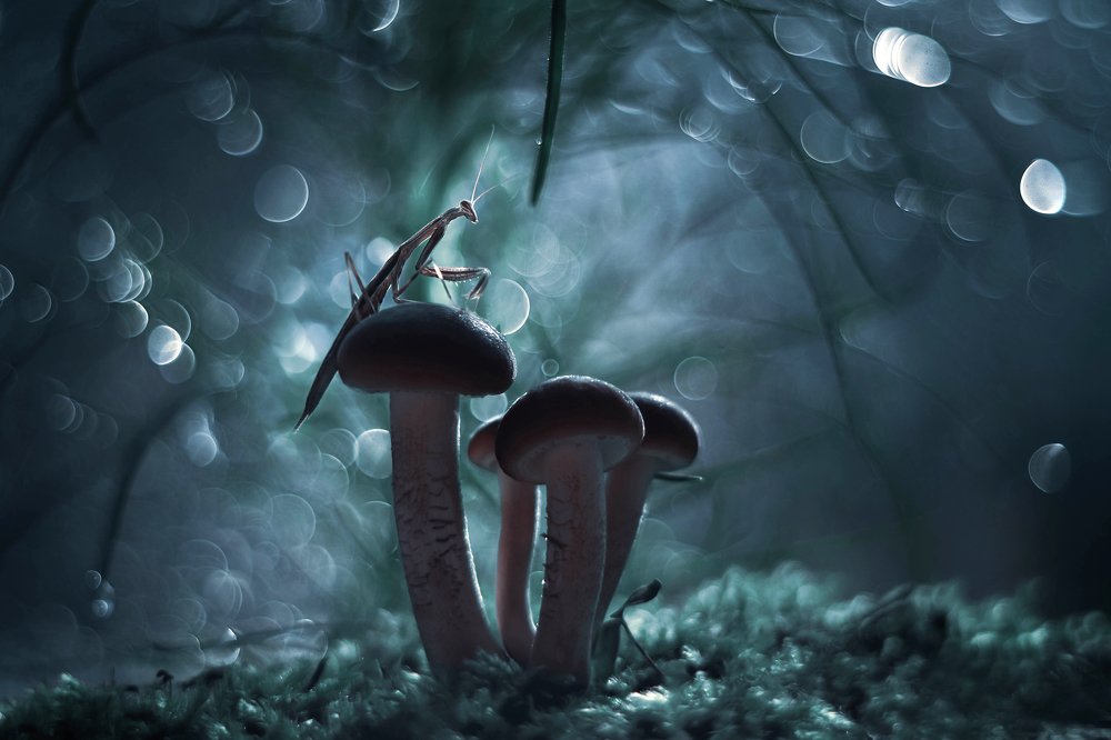 I've been waiting for you