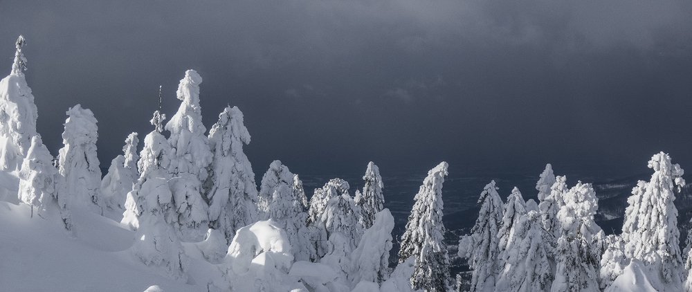 Photograph by Andrzej Andrychowski