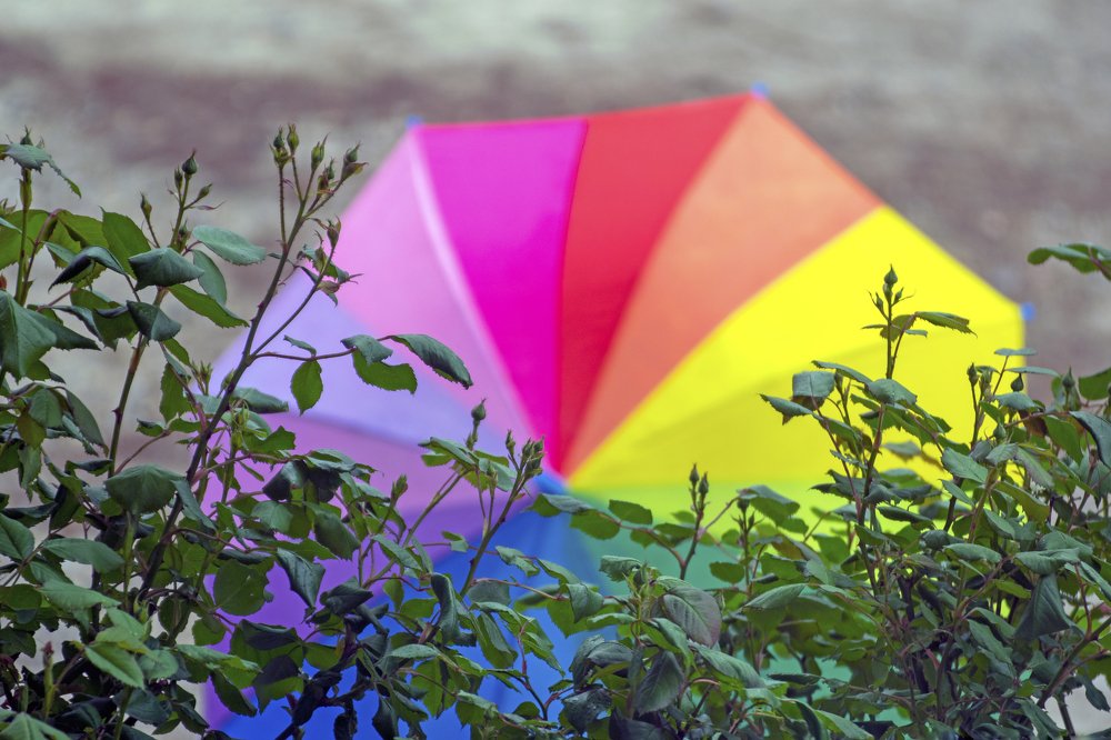 Photograph by Наталья Вялых