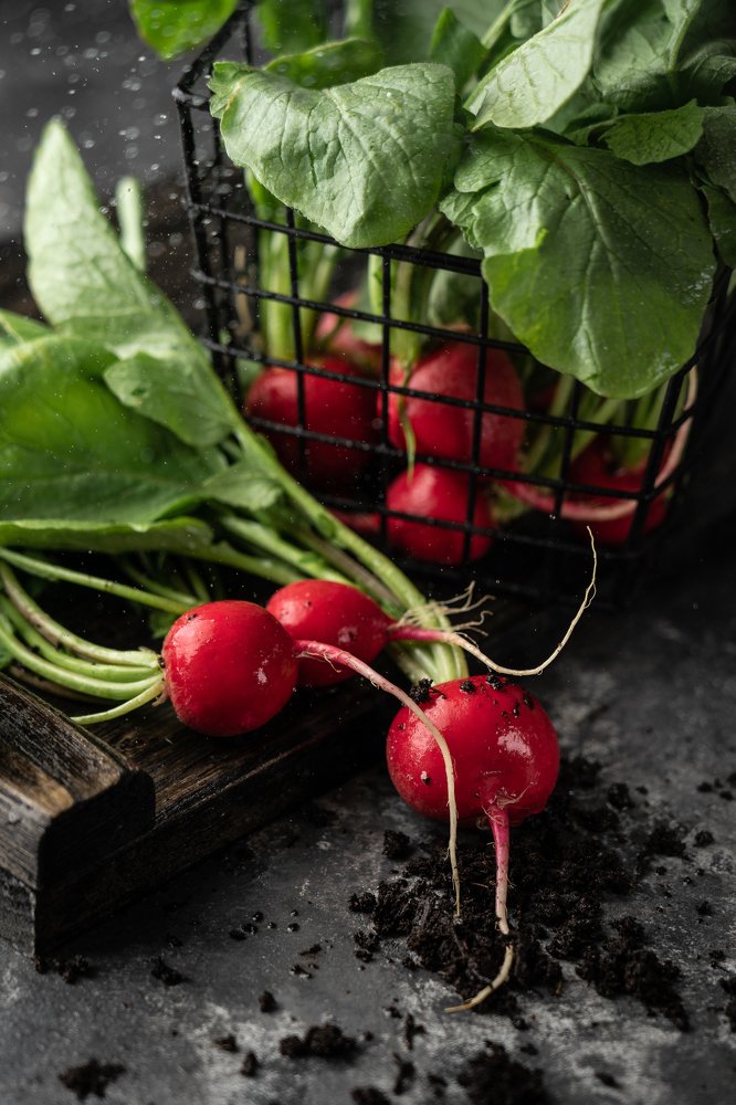 Photograph by Yuliia Pashentseva