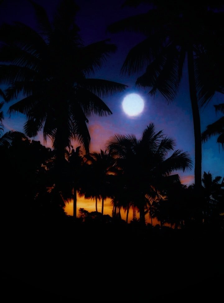 Photo #5541000