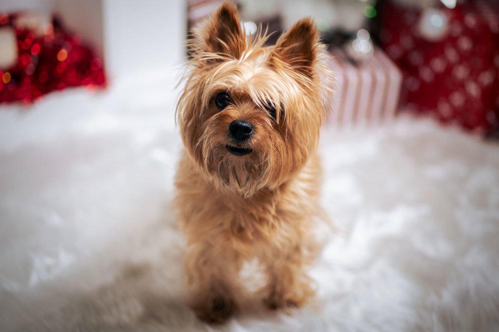 Photograph by Марина Денисова