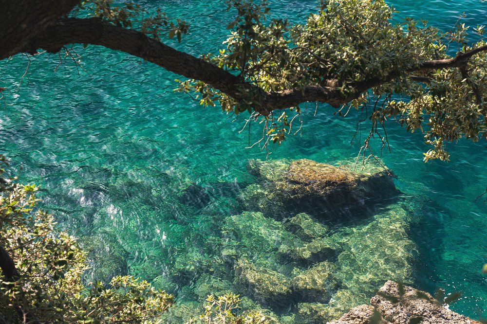 Photograph by Yuliia Pashentseva