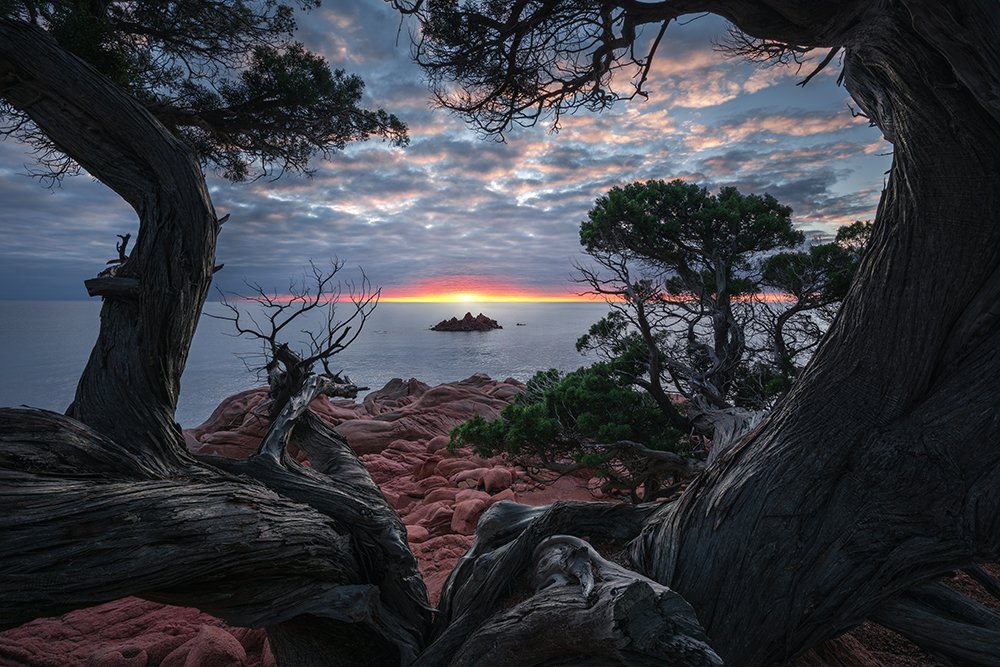 Photograph by andrea zappia