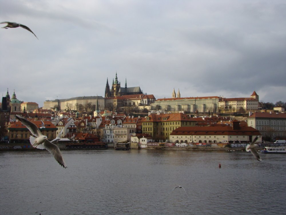 Photograph by Александр