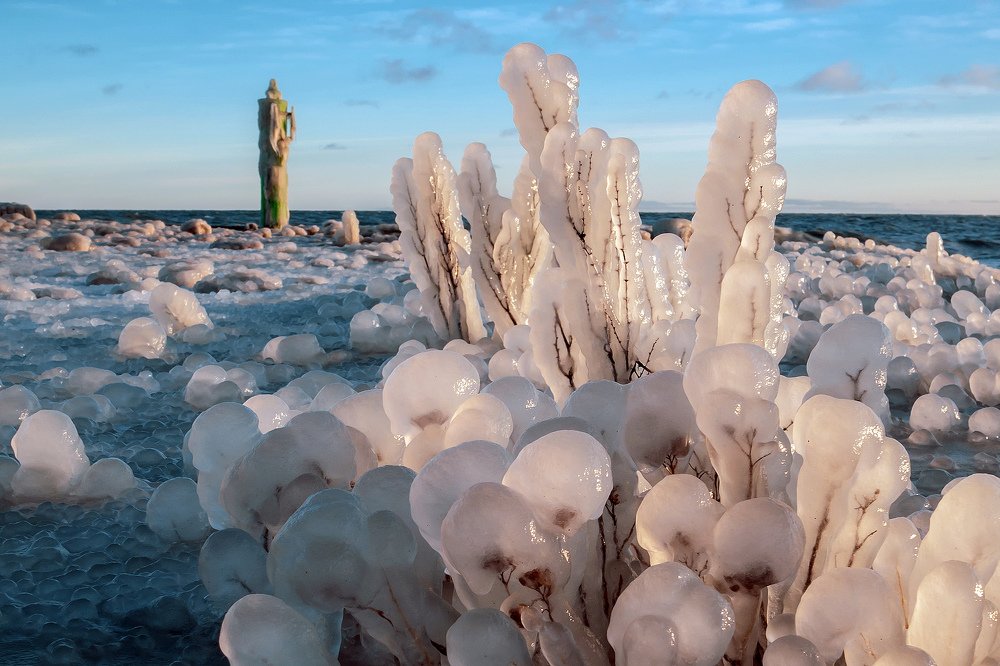 Photograph by Ольга Линк