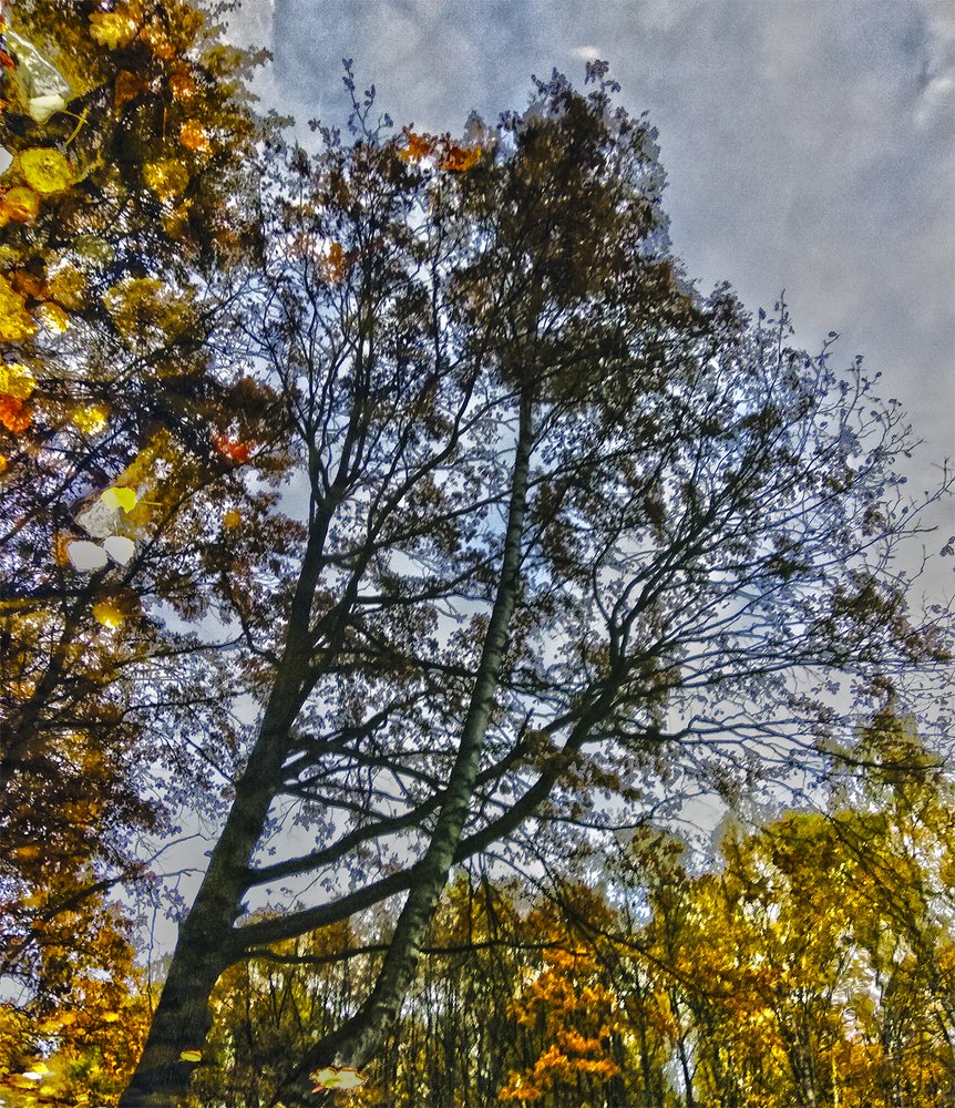 Reflections