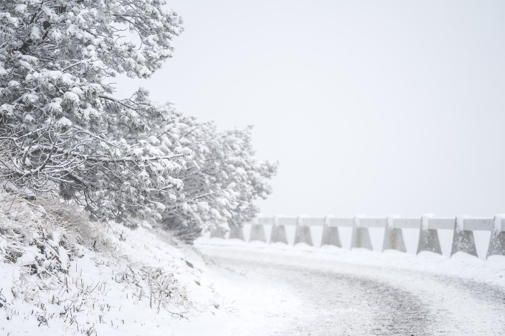 Photograph by Yuliia Pashentseva