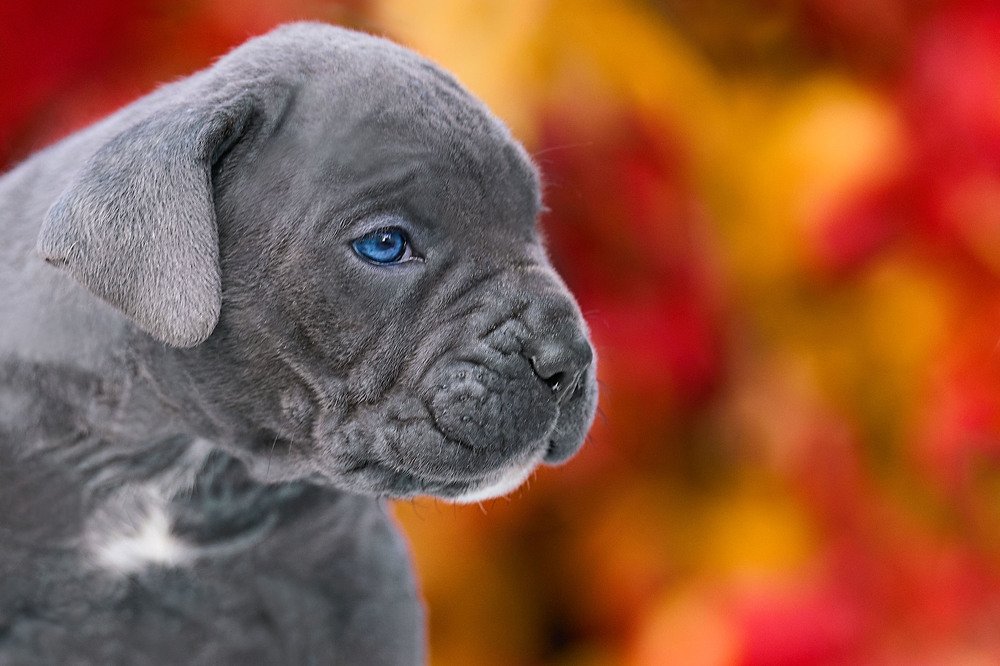 Photograph by Оксана Сироштан