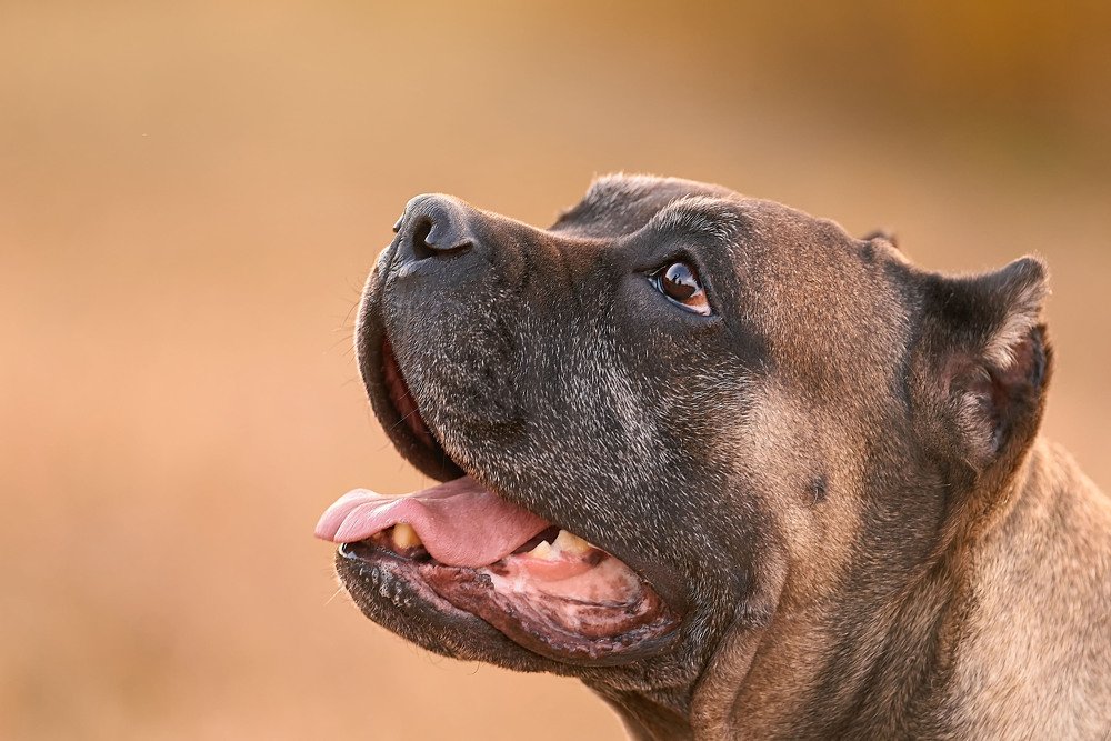 Photograph by Оксана Сироштан