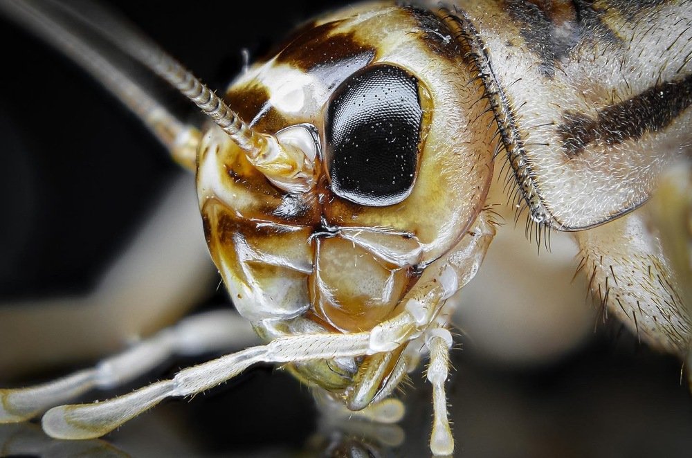 Photograph by Денис Белов