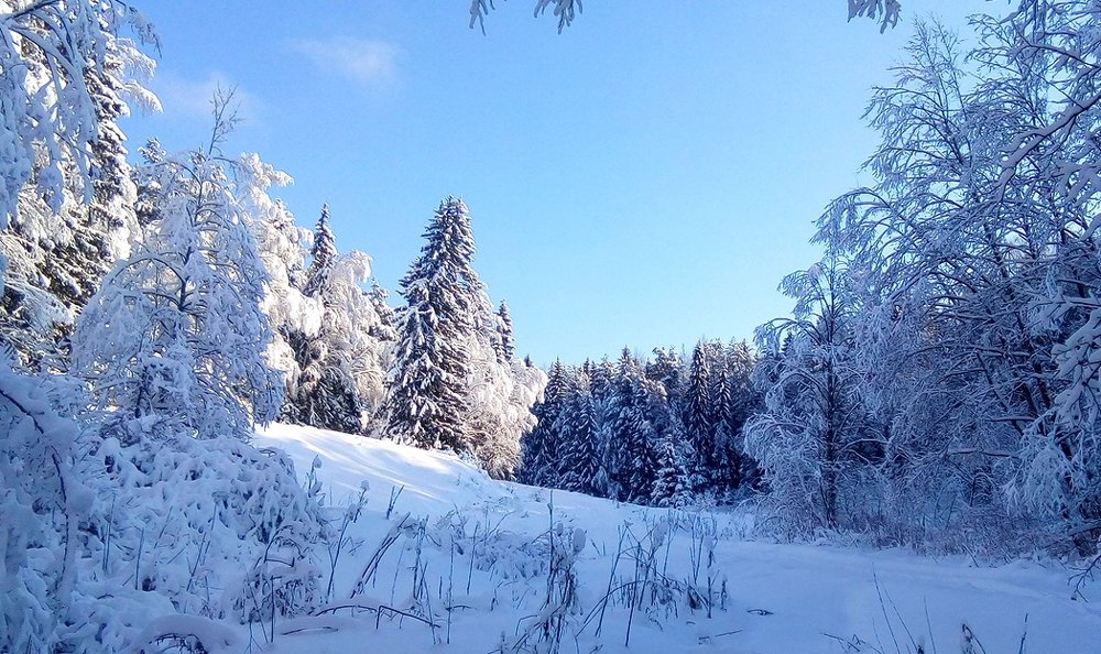 Photograph by Дмитрий Сенин