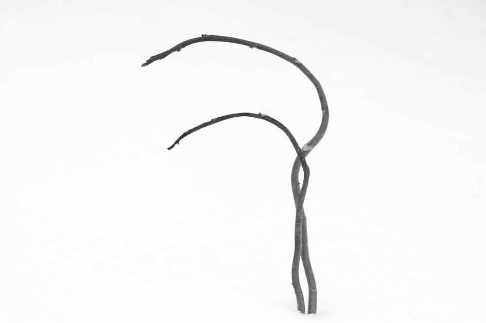 Photograph by Алексей Турсунов