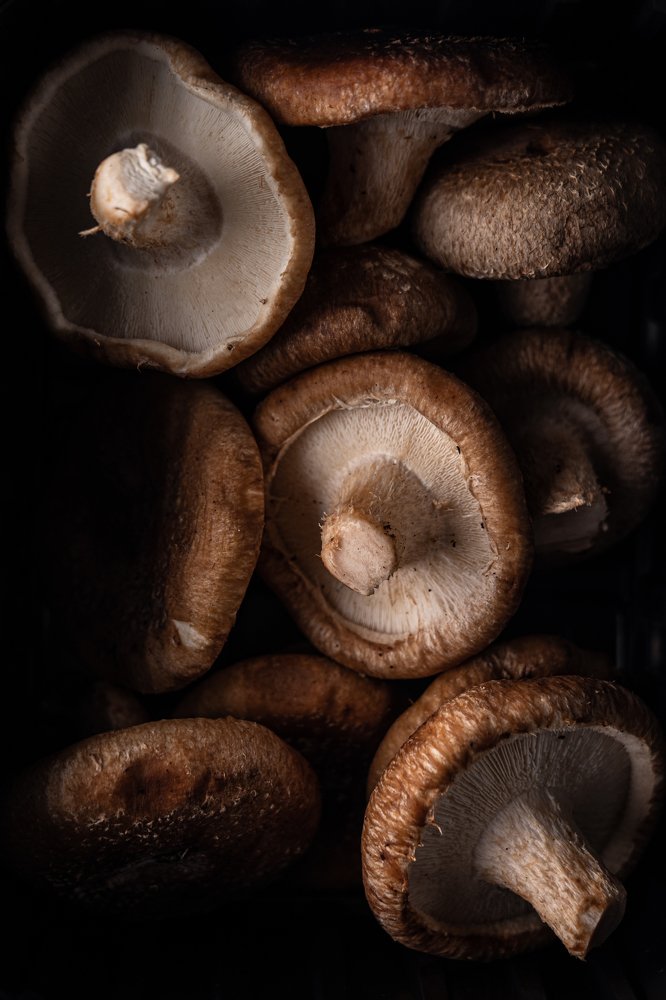 Photograph by Yuliia Pashentseva