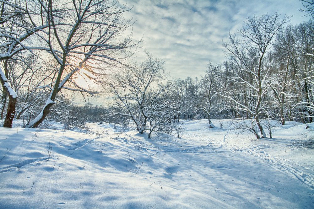 After the night snowfall
