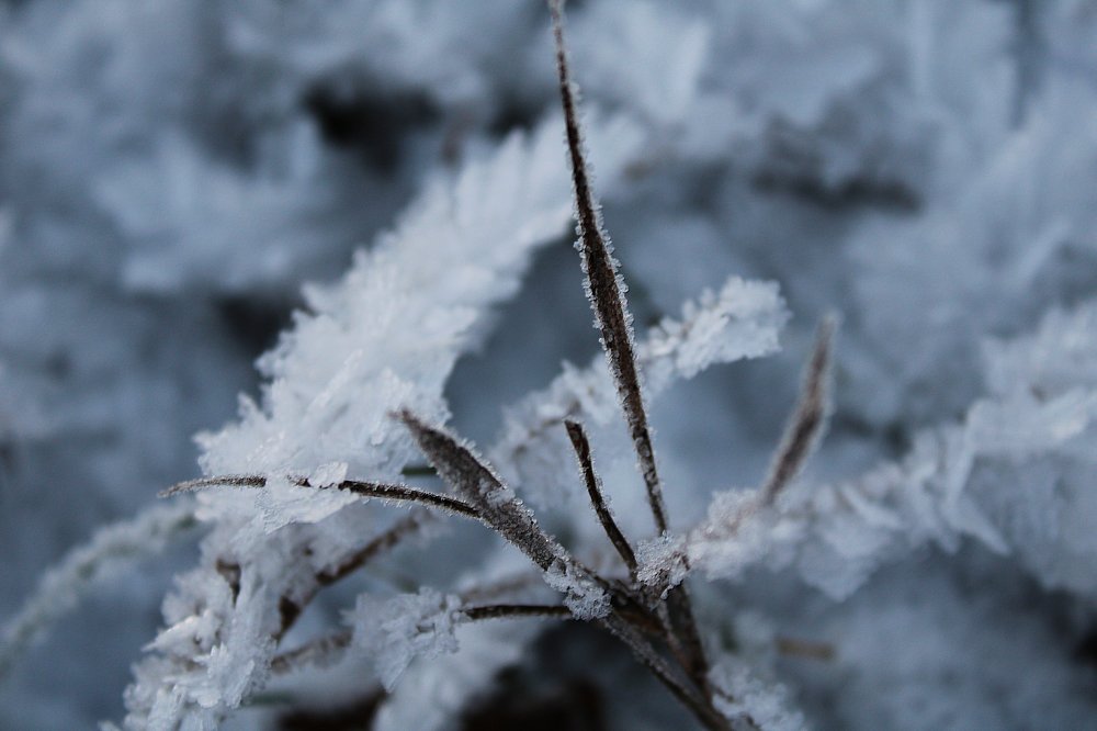 Photograph by Инна Карасева