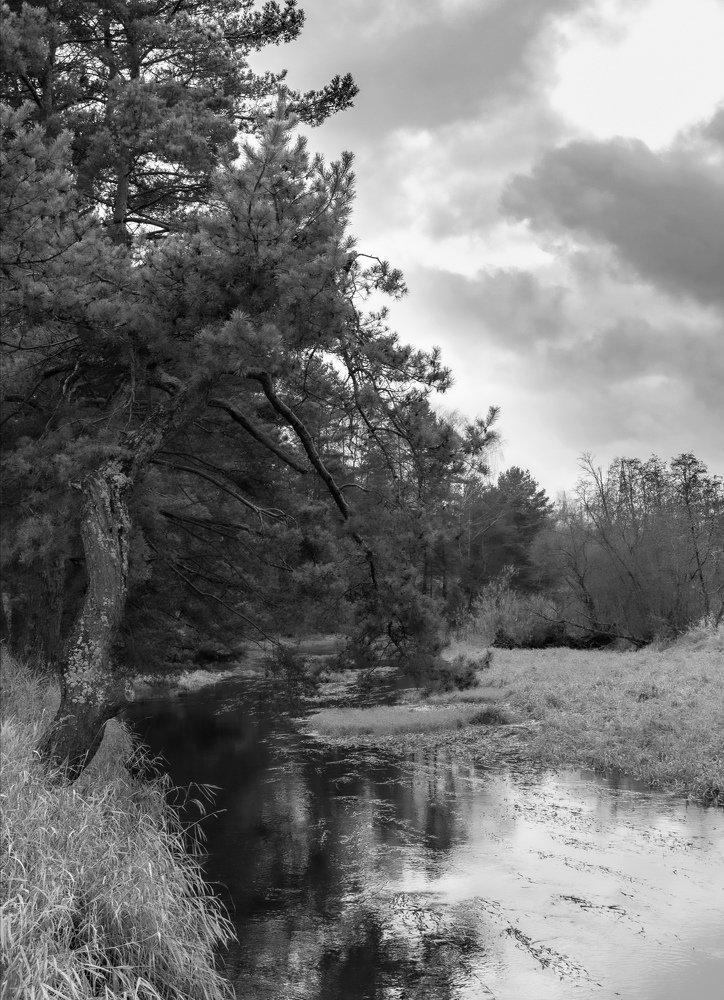 Photograph by Евгений Аношин