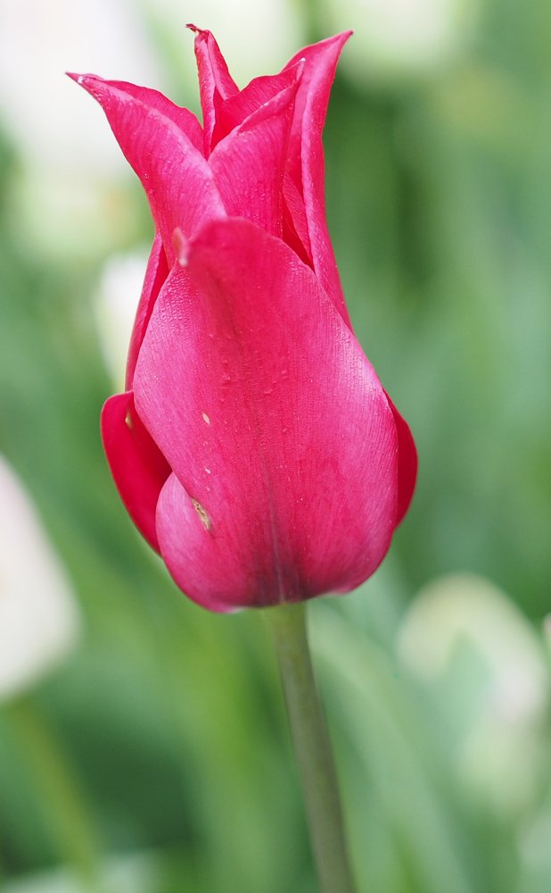 Photograph by Дмитрий Дмитриев