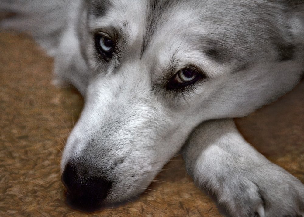 Photograph by Ирина Кленкова