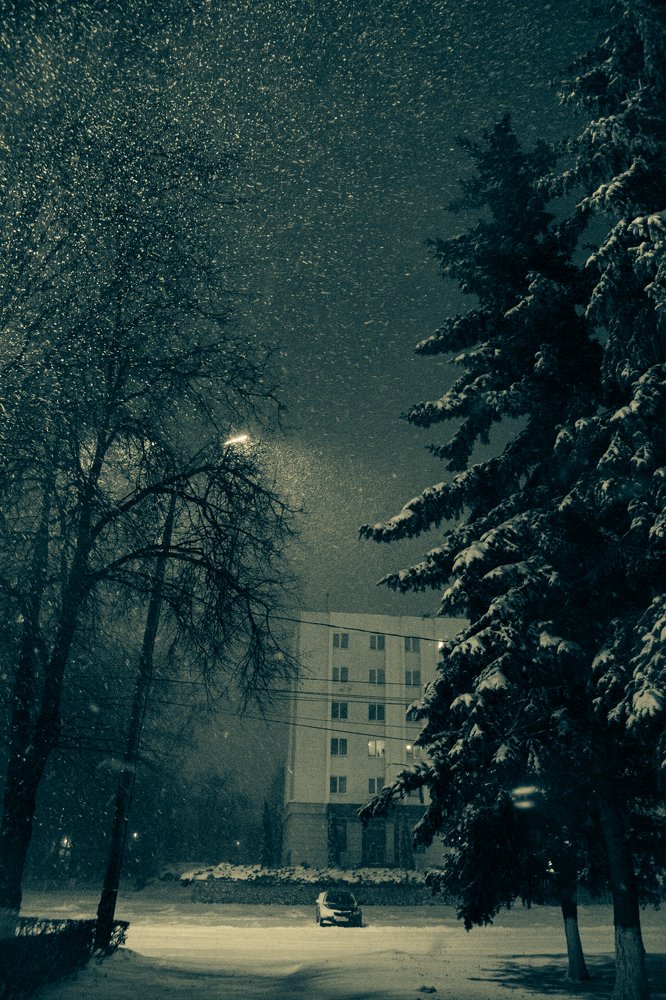 Photograph by Арина Сучкова