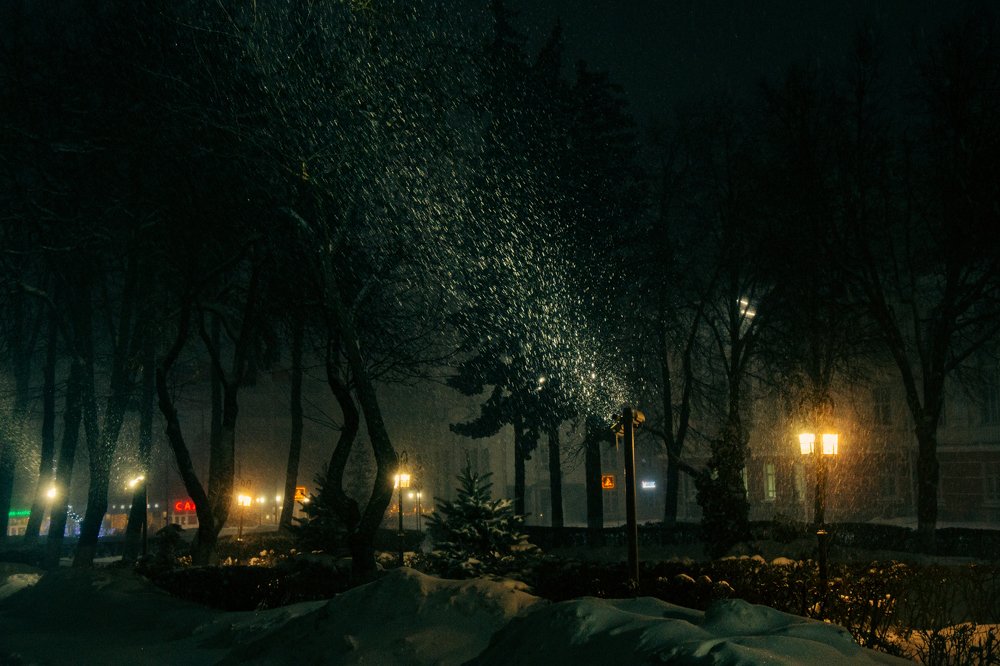 Photograph by Арина Сучкова