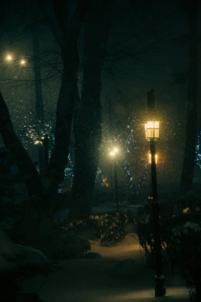 Photograph by Арина Сучкова