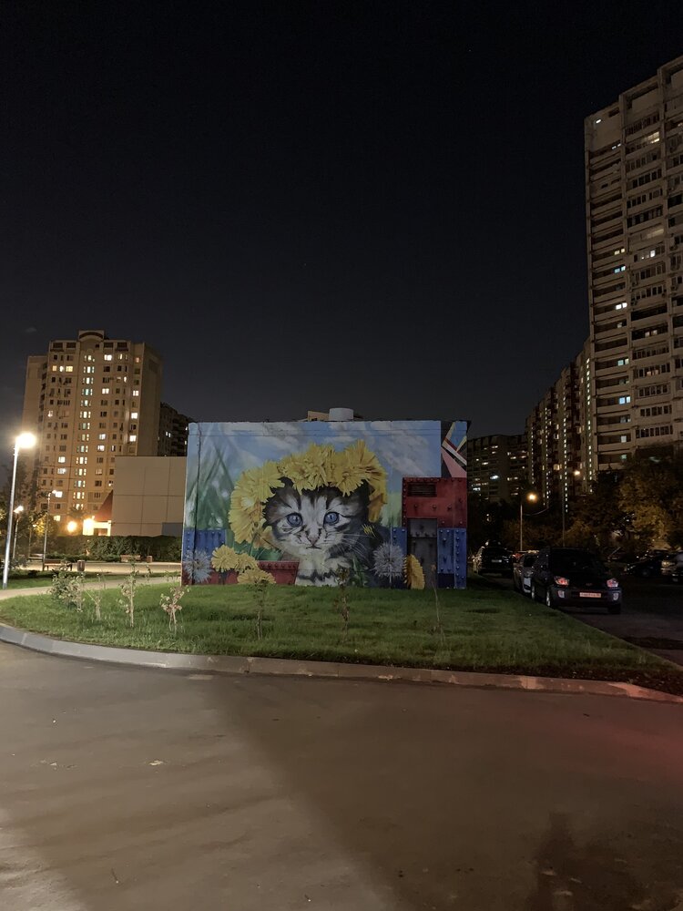 Photograph by Юлия Давшан