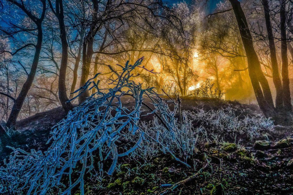 Photo #5541527