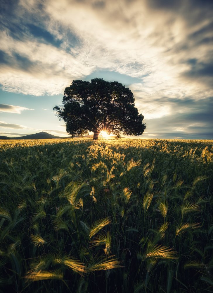 Photograph by Костадин Маджаров