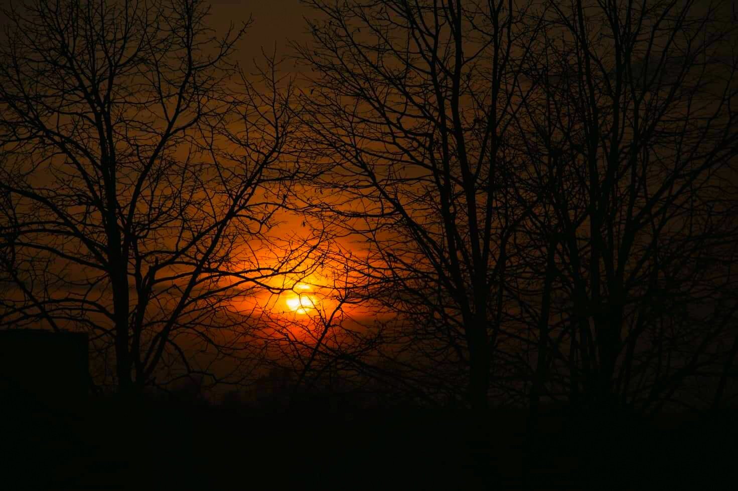Mystic/The Forrest Soul