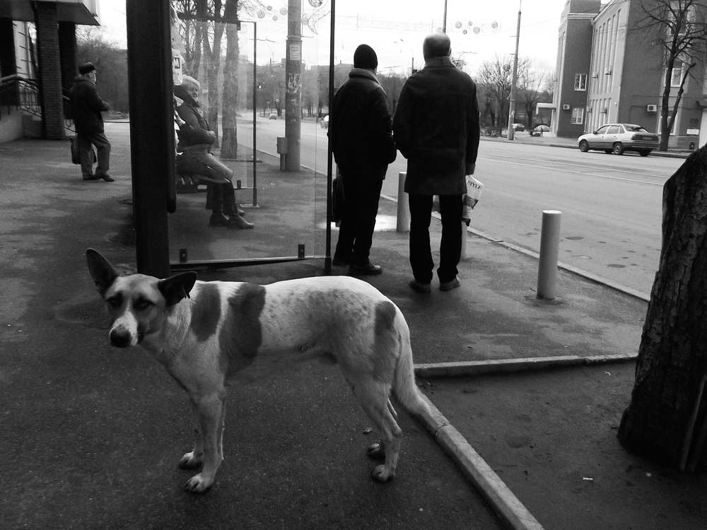 Photograph by Андрей Довганенко