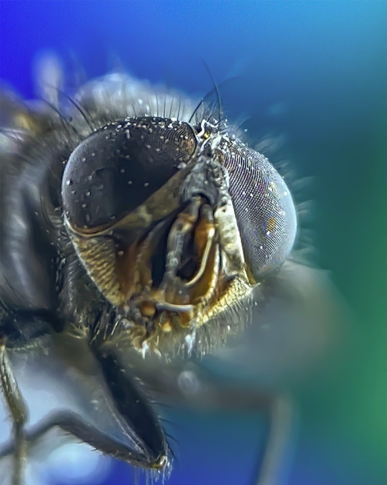 Photograph by Saeed Sadeghi