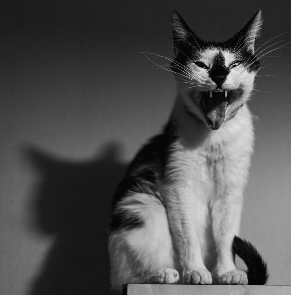 Photograph by Hubert Kochański