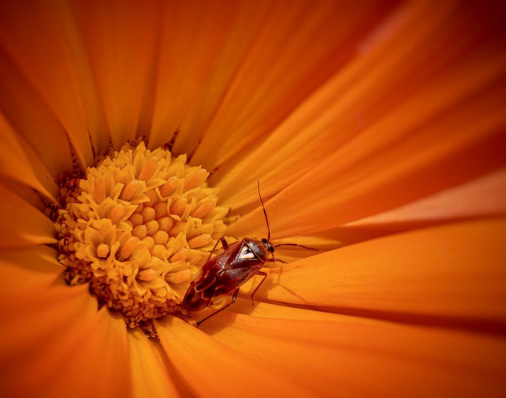 Photograph by Людмила Коныгина