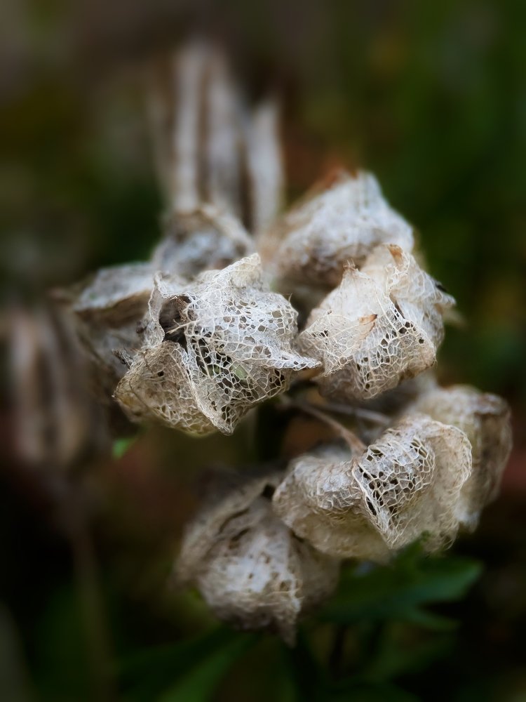 Photograph by Людмила Коныгина