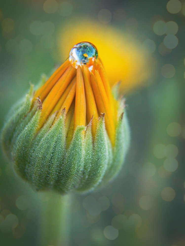 Photograph by Людмила Коныгина