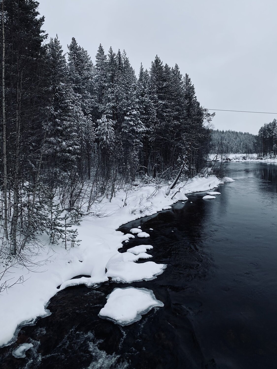 Photo #5541989