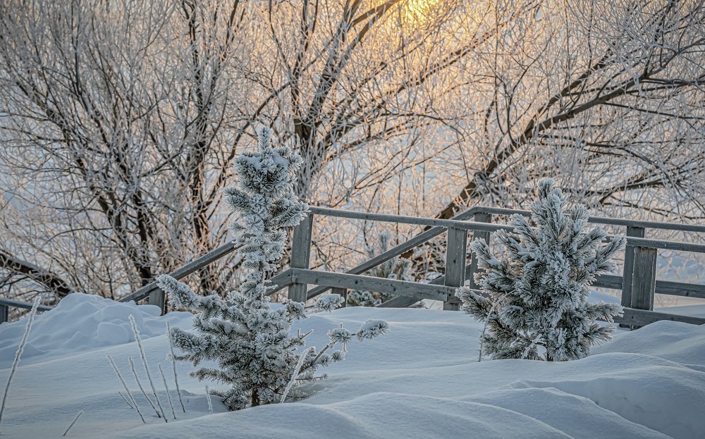 Подморозило