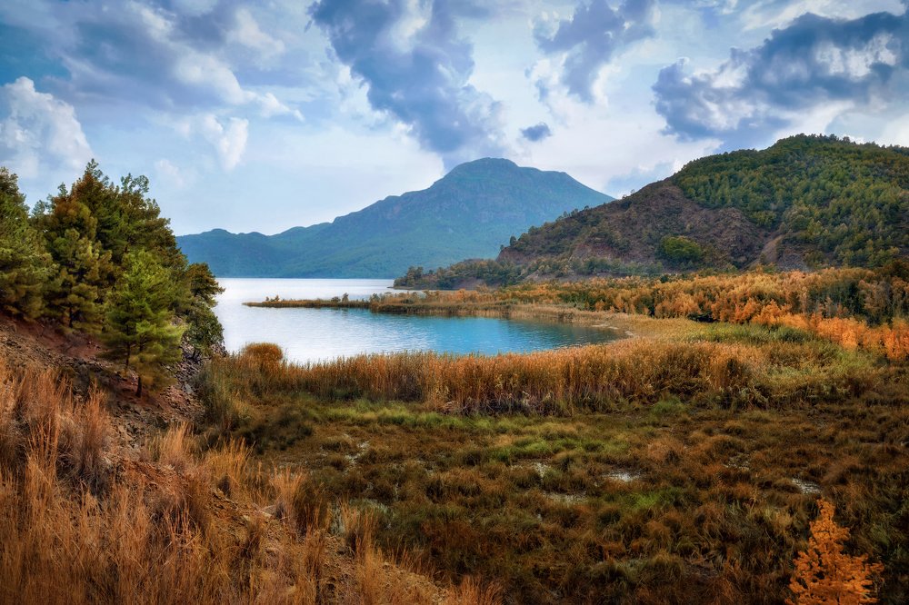 Осень в краю болот