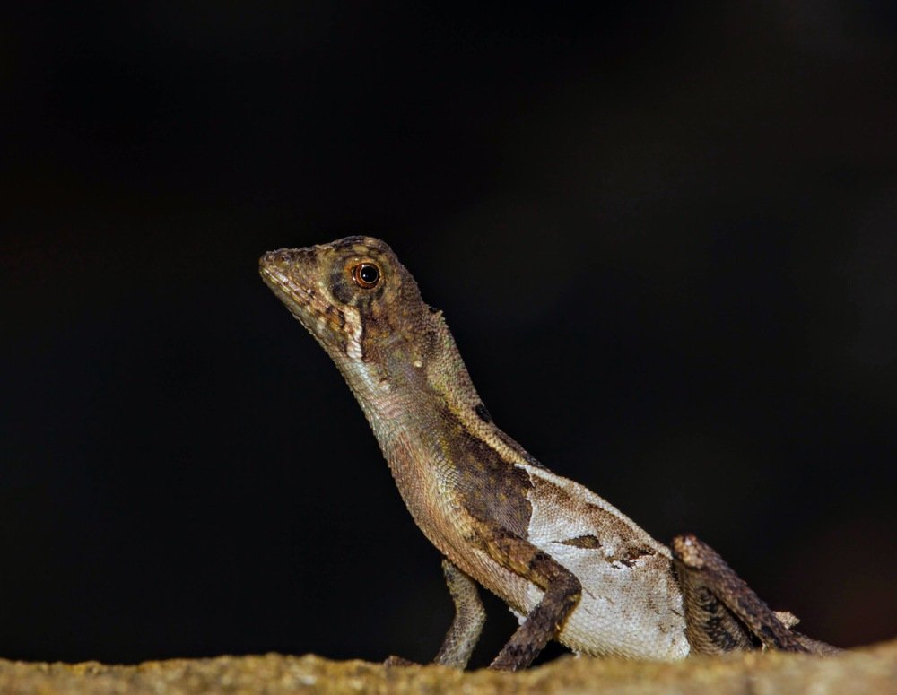 Photograph by Marine Sukiasyan