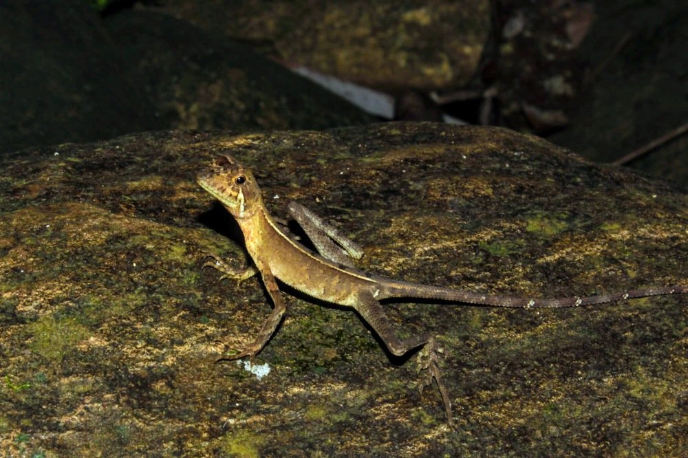 Photograph by Marine Sukiasyan