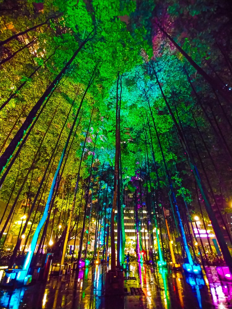 Lighted park in Kuala Lumpur/Malaysia