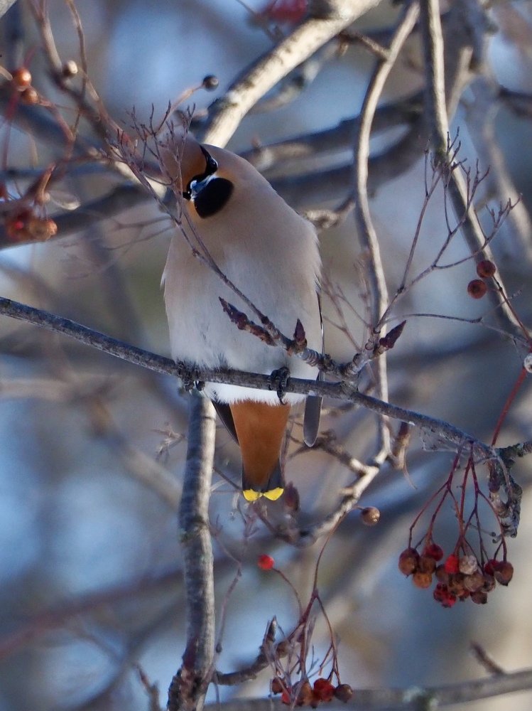 Photograph by Юлия Поршнева