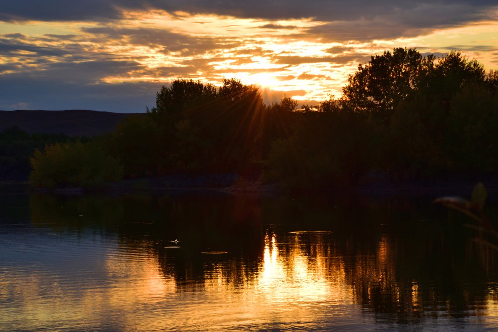 Photograph by Татьяна Дорожко