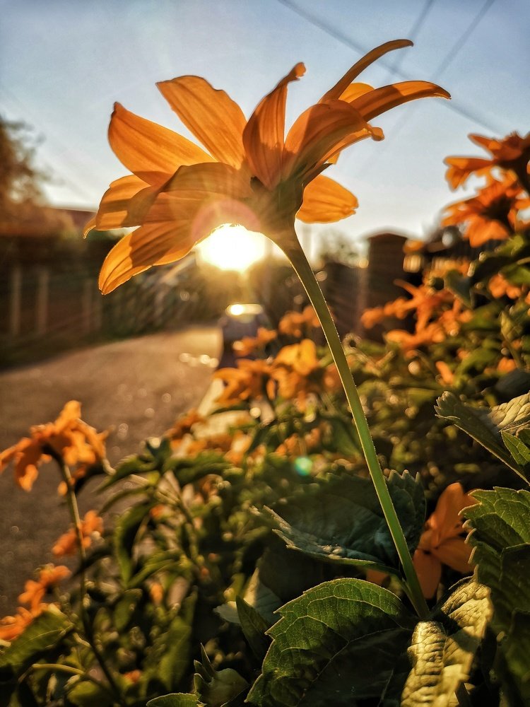 Photograph by Дмитрий Абрамович